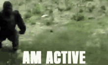 Am active